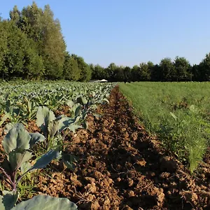 Corte Bertesina Farm stay Vicenza